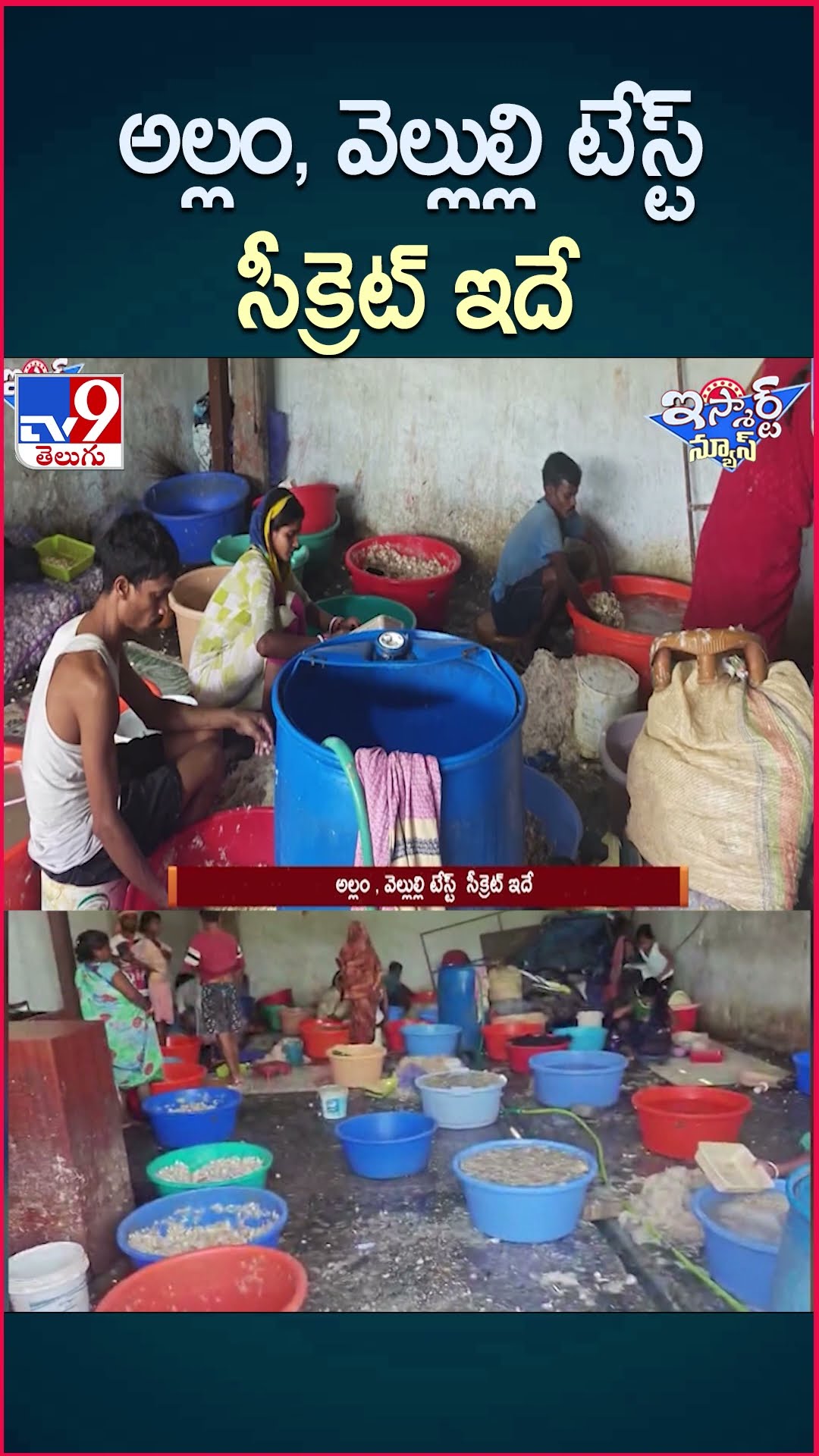 iSmart News : అల్లం , వెల్లుల్లి టేస్ట్‌  సీక్రెట్ ఇదే  | Ginger Garlic Paste - TV9