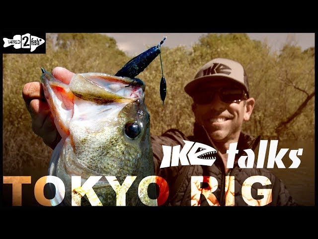 The Tokyo Rig for Bass  Ike Talks Uses 