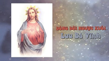 Dòng Đời Ngược Xuôi - Lưu Bá Vĩnh