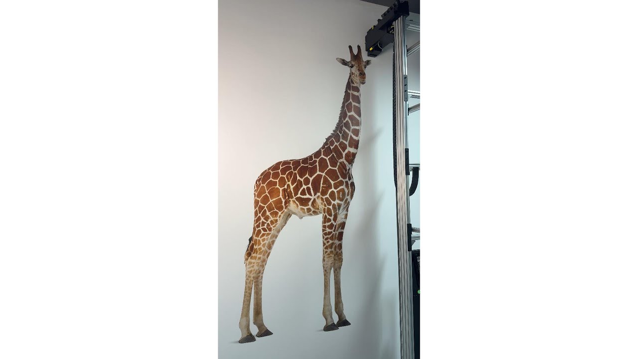 Amazing Wall Printing A 2.5 Meters High Giraffe | DXonJet Wall Printer
