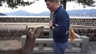 Miyajima \