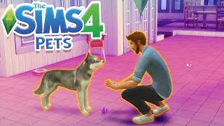 DOGGY TRAINING! | Sims 100 Cats& Dogs Challenge #2