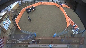 Big Sky Ranch Sorting Saddle Series #2 - #6 H/C - Round #2 - Ride #9
