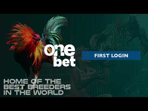 Your First Login - ONE BET