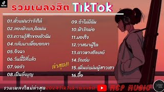 รวมเพลงฮิตใน TikTok [ ตั๋วแฟนว่าจังใด๋ ] เพลงใหม่ล่าสุด2024