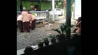 Mengintai Bocil Geal Geol