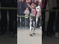 - Unitree robot stopped by operator after contact with child