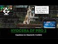 ОБЗОР KYOCERA DURAFORCE PRO 2 (E6910) - после двух месяцев использования