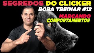 CLICKER  AULA COMPLETA  BORA TREINAR#12