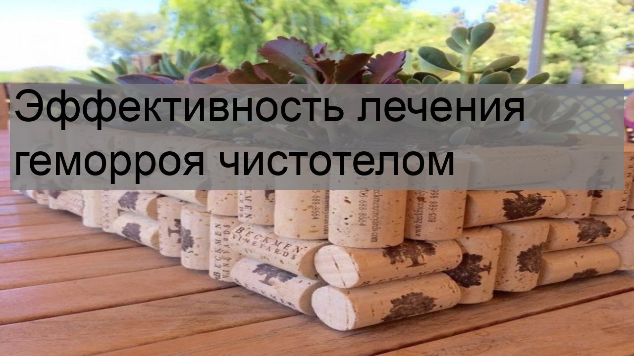 Эффективность лечения геморроя чистотелом
