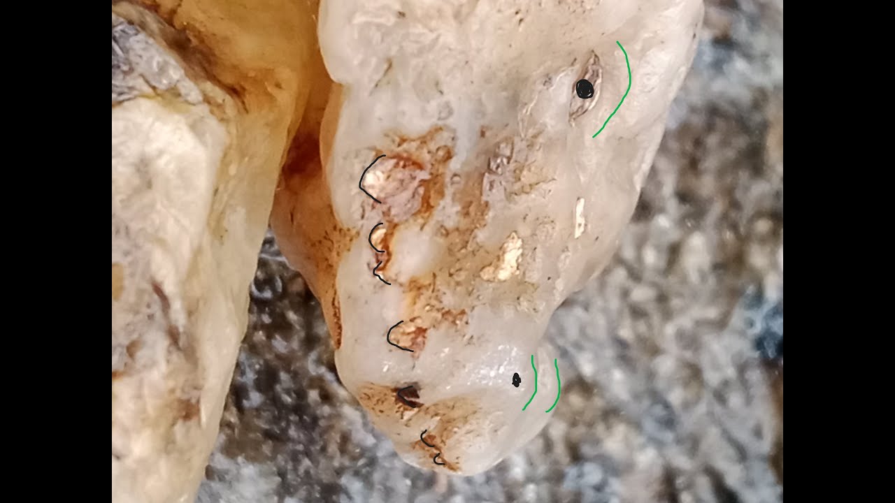 Rýžování zlata, hledání zlaté kapsy;)