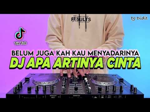 DJ APA ARTINYA CINTA - BELUM JUGA KAH KAU MENYADARINYA REMIX VIRAL TIKTOK TERBARU 2026