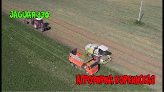 Комбайн Claas Jaguar 830 уборочная в засуху однолетка