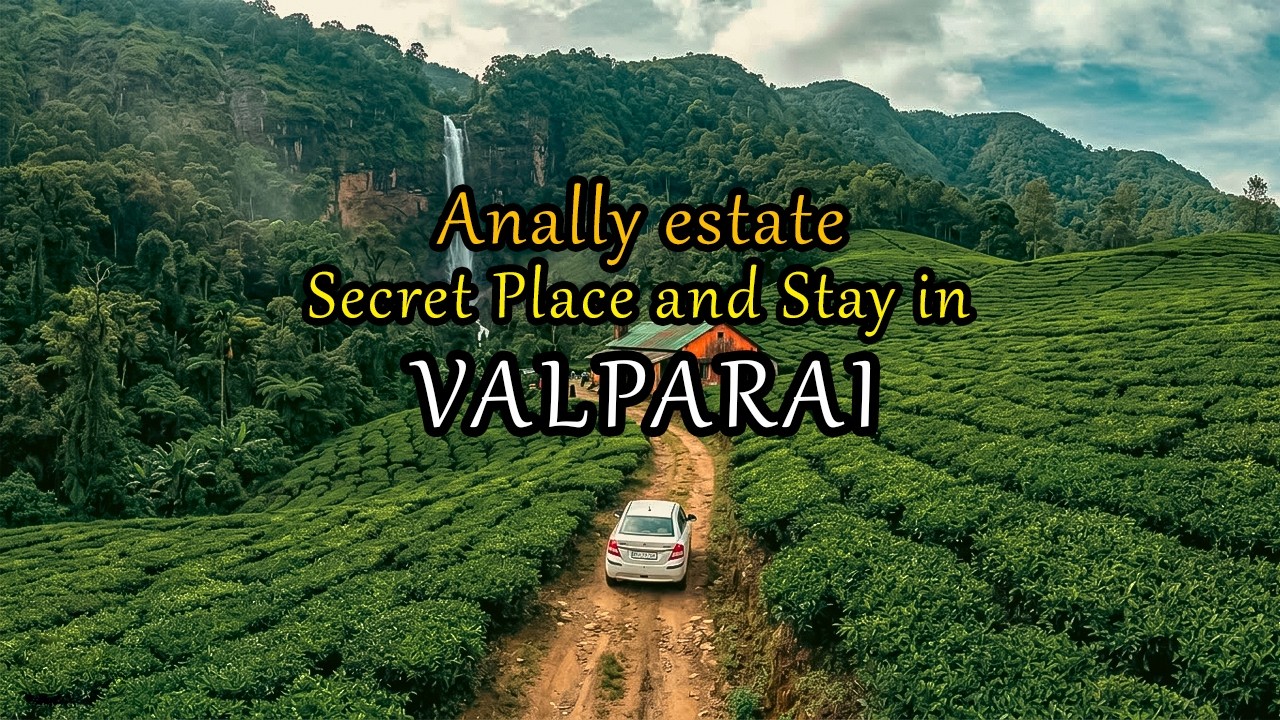 Anally estate bungalow valparai