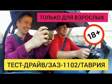 Тест драйв заз 1102