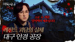 [어둑시니Pick] 인터넷 레전드 괴담의 당사자가 직접 제보했습니다. ＜대구 안경 공장 괴담＞의 실체｜#심야괴담회 MBC210805방송