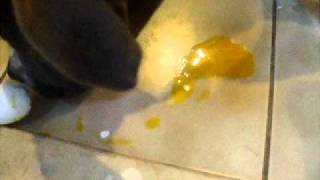 DSCF8995.AVI
