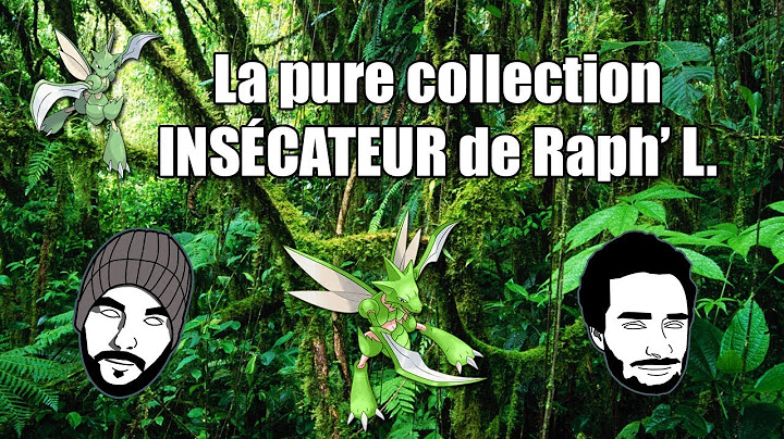 (IRL) La Magnifique COLLECTION INSECATEUR de Raph' L.