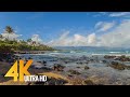 Maui Island - Tropical Beach Relaxation Video. Part 2 - 4K Short Preview