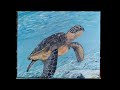 Painting a Sea Turtle in Acrylic