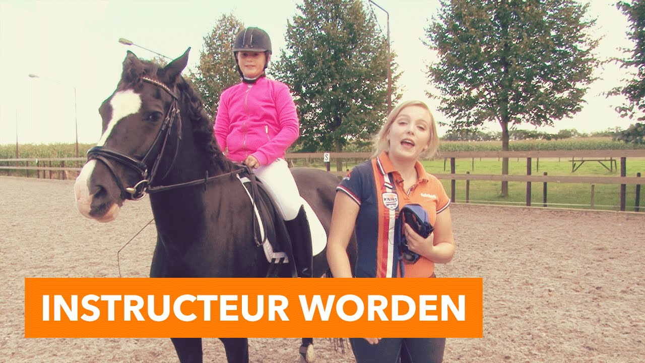 Sleutel krokodil Het strand Instructeur worden | PaardenpraatTV - YouTube