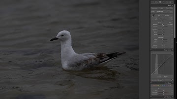 Lightroom Classic Quickstart - Video 3 - The Develop Module And Exposure