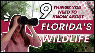 9 Things You NEED to Know About Florida's Wildlife Before You Move Here