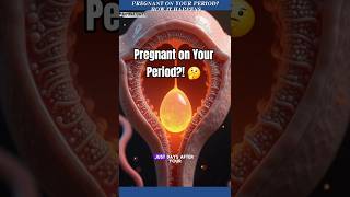 Can You Get Pregnant On Your Period? How Early Ovulation Can Lead To Pregnancy
