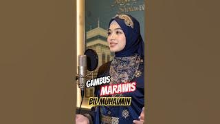 Gambus Marawis Terpopuler❗️ Bil Muhaimin - Khanifah Khani #gambus #albarkahsholawat  #viraltiktok