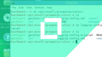 #HowTo Set the GroupWise Calendar Server Log Level