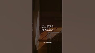 سورة هود {آية ٦}🎧{وما من دابة في الارض الا على الله رزقها.}#اكسبلور #حالات_واتساب #الجمعة #حالات