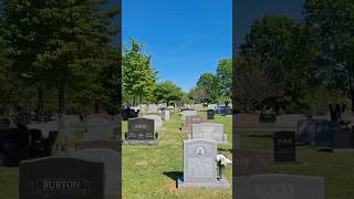 How A Walk In A Cemetery Can Help You Hear Better