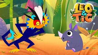 LEO and TIG 🦁 🐯 A Game for a Rhinoceros 🐨 NEW EPISODE 💚 Moolt Kids Toons Happy Bear