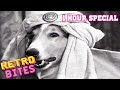 Lassie | 1 Hour Compilation | Full Episodes  🐕