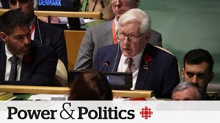 Canada has 'many steps' to take before recognizing Palestinian state: Bob Rae | Power & Politics