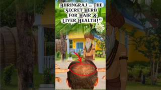 I Tried Bhringraj for Hair &amp; Liver Benefits#healthtips