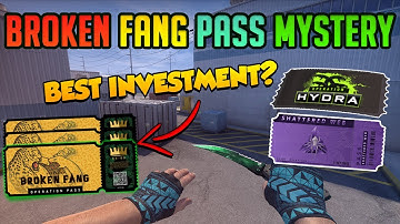 Why Broken Fang Will Not Go On a Sale - CS:GO investment