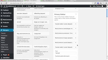 Widgets toevoegen op blog pagina - WordPress Website