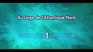 Marine Marchande