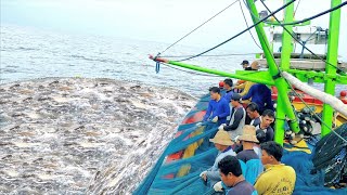 GAK DI SANGKA‼️ Tangkapan Ikan Hari Ini Di Luar Dugaan || Vlog Nelayan Tawor - Cupliz Ahmad