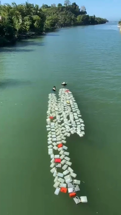 KEREN !!! Perempuan Mandar berenang di Sungai Mandar bawa jerigen air #shorts