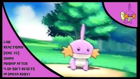 Live Reaction! [ISHC #2] Shiny Mudkip At  Soft Resets In ORAS!