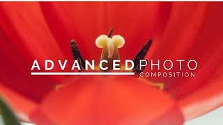 Famous Advanced Photo Composition Tips Net Worth