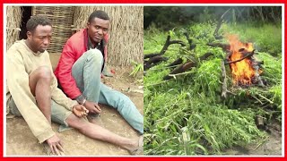 WAKAMATWA SHAMBANI WAKILIMA BANGI, WAJITETEA MBELE ya POLISI -''INGEHALALISHWA UMASKINI TUNGEEPUKA'' WAKAMATWA SHAMBANI WAKILIMA BANGI, WAJITETEA MBELE ya POLISI -''INGEHALALISHWA UMASKINI TUNGEEPUKA''