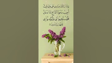 وإذا سألك عبادي عني فإني قريب || بصوت القارئ فارس عباد