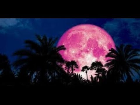 Pink full moon   #Stayhome #Withme