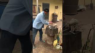 Arjantinde Kayınpederle Orman Ve Mangal Keyfi..