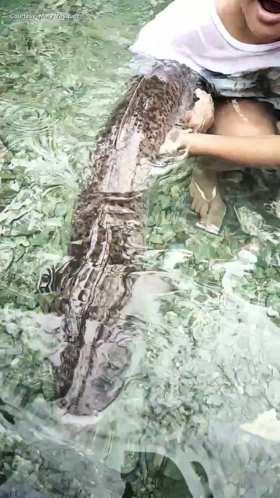 Mga malalaking igat, mistulang pet ng mga residente sa Leyte  | Kapuso Mo, Jessica Soho