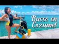 BUCEO en COZUMEL MEJORES lugares en el MUNDO para bucear Hotel y Buceo  DIVING