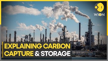 Carbon capture & storage: Sustainable development in the future | WION Climate Tracker